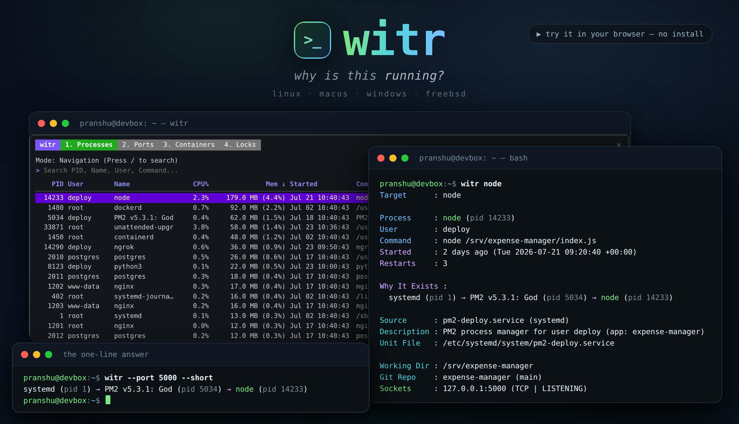 witr：追踪进程、端口、容器或文件的运行原因