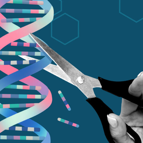 Team uses AlphaFold AI to redesign gene-editing proteins to make them safer