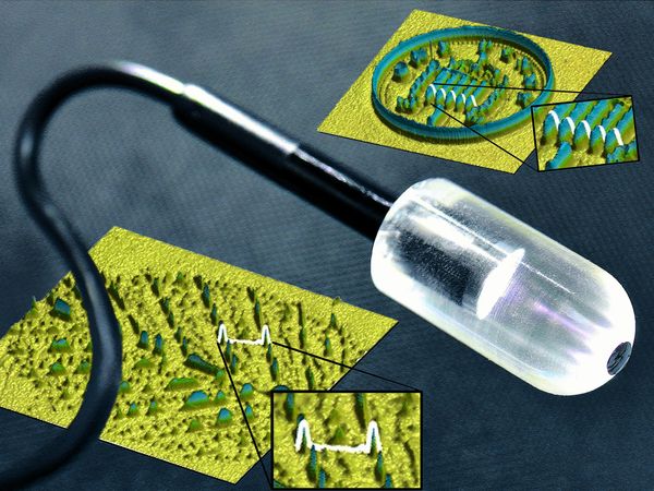 机器人手指“感知色彩”：新型触觉传感器实现100微米分辨率