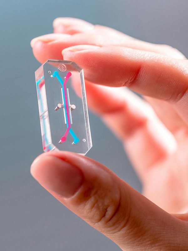 替代动物实验的技术已接近成熟，但科学家们还没准备好