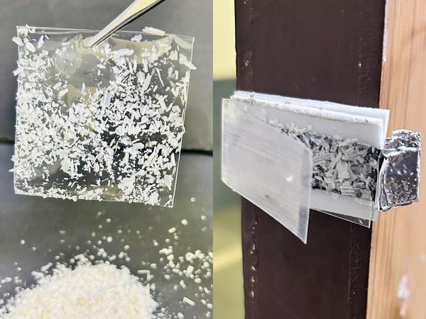 大蒜皮变身自供电传感器，低成本家庭安防迎来新方案