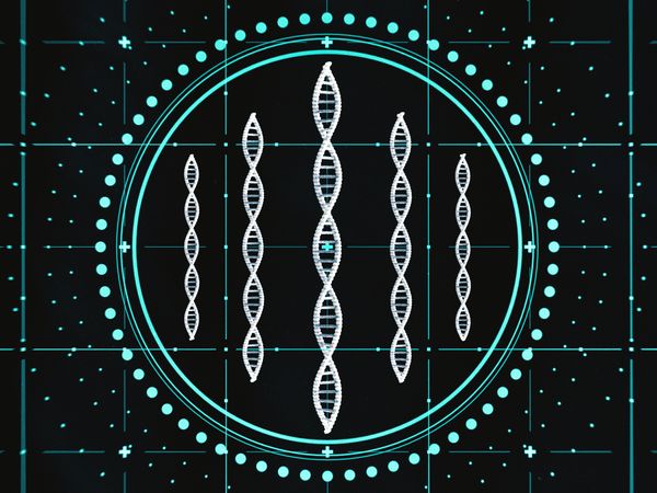 DNA合成技术突破：Sidewinder大幅缩短基因序列构建时间