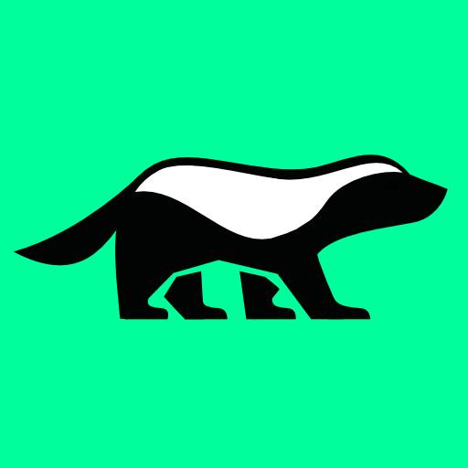 Badgerlytics