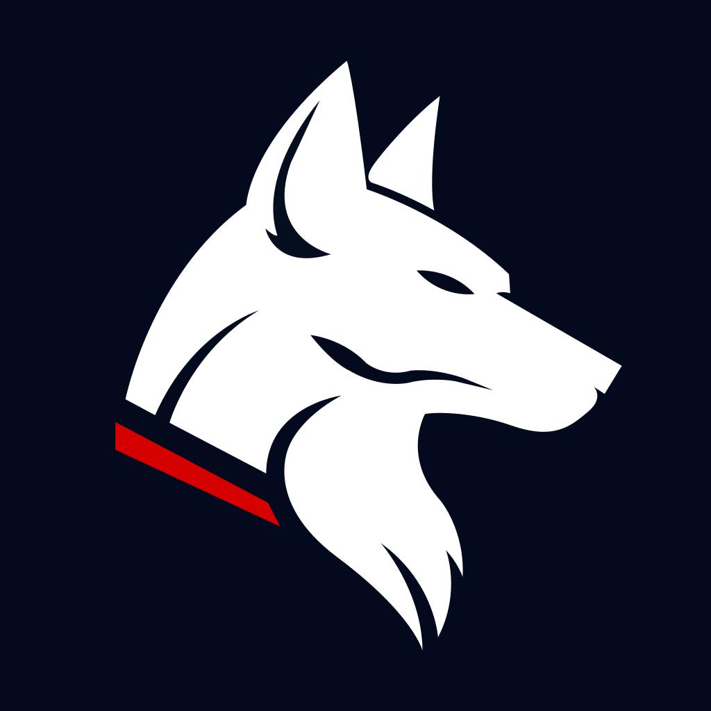 WireDog VPN
