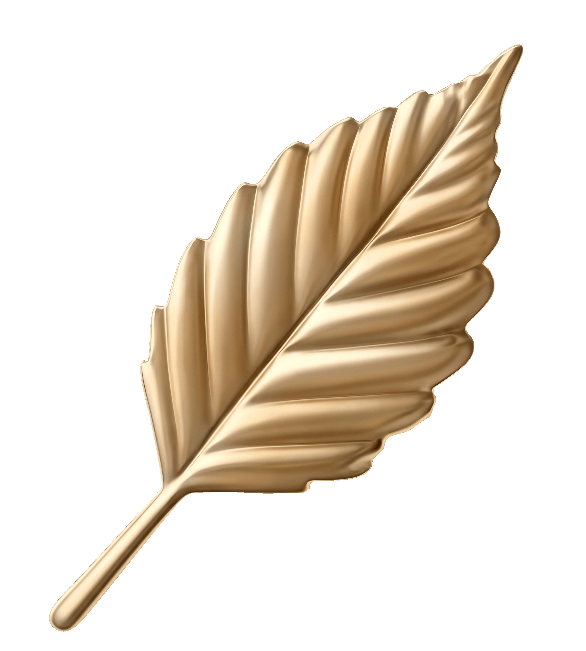 Birch