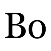 Bo AI