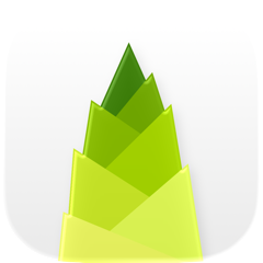 Bamboo