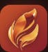 Savor Scout