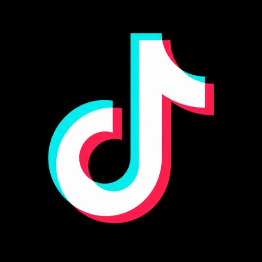 TikTok Video Downloader