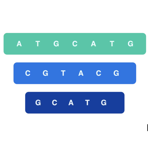 Three Level Genetics
