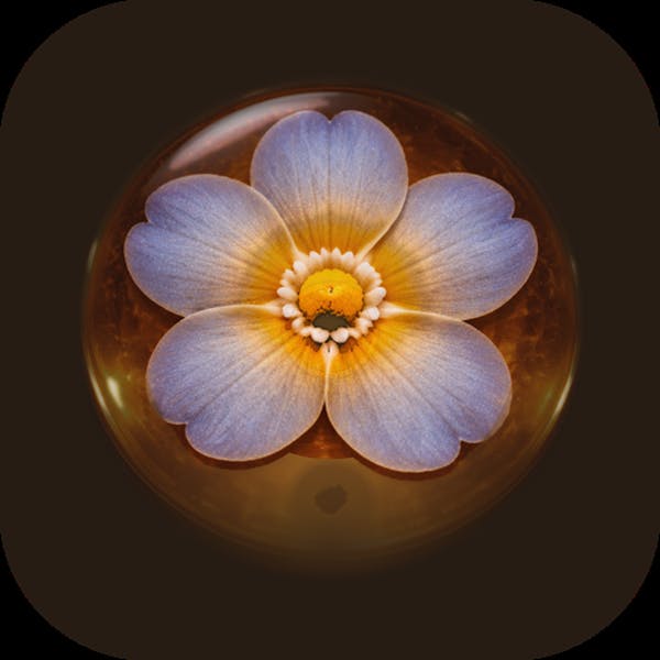 Beheld