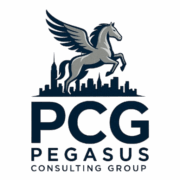 PEGASUS CONSULTING GROUP INC