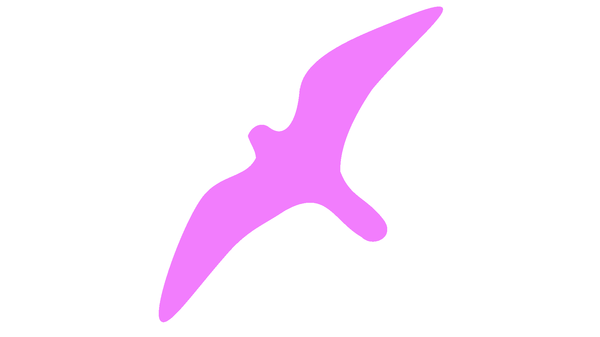 AvesDrop