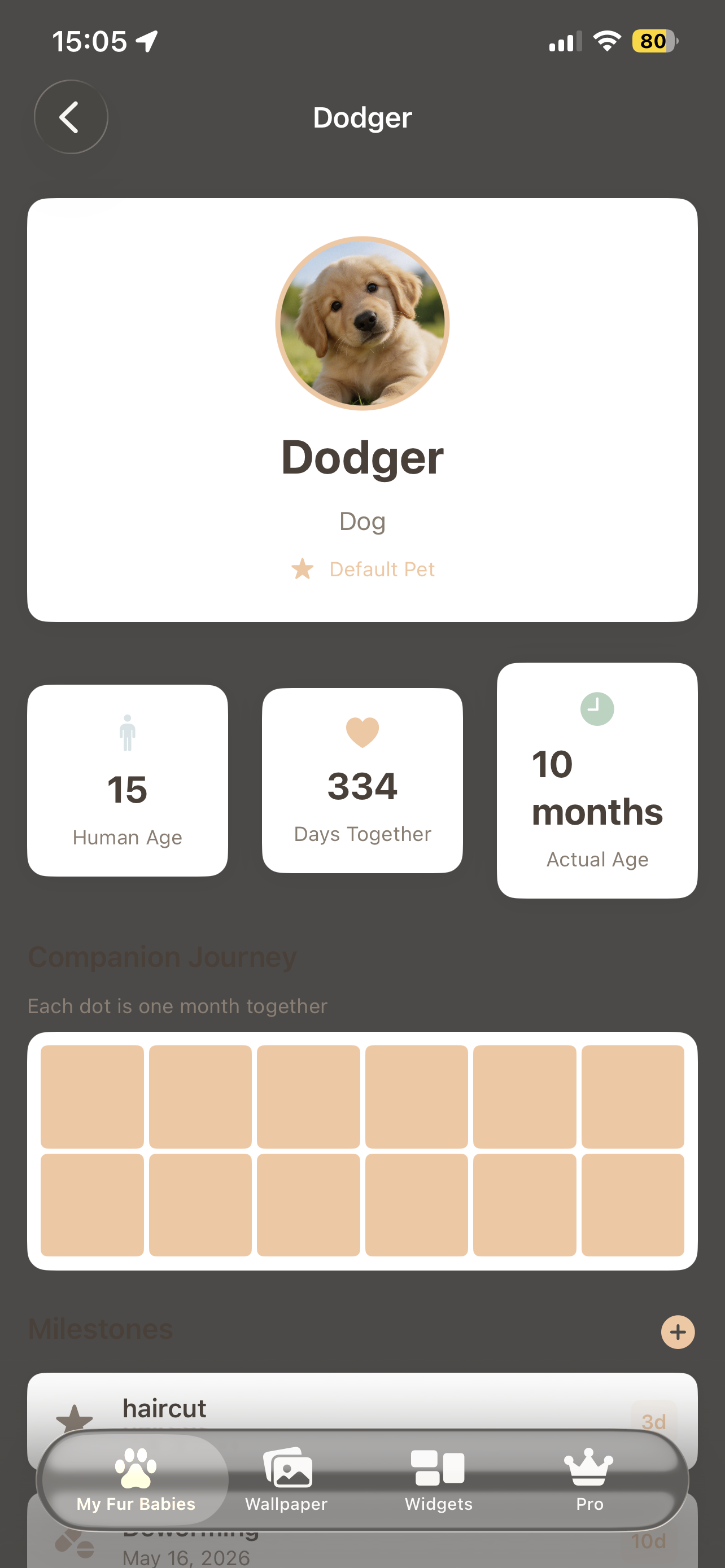 Fur Baby Companion — Pet Age Tracker