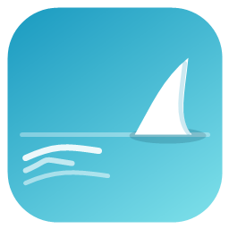 White Fin — Offline scam checker