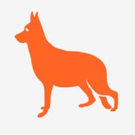Indoor Dog Park