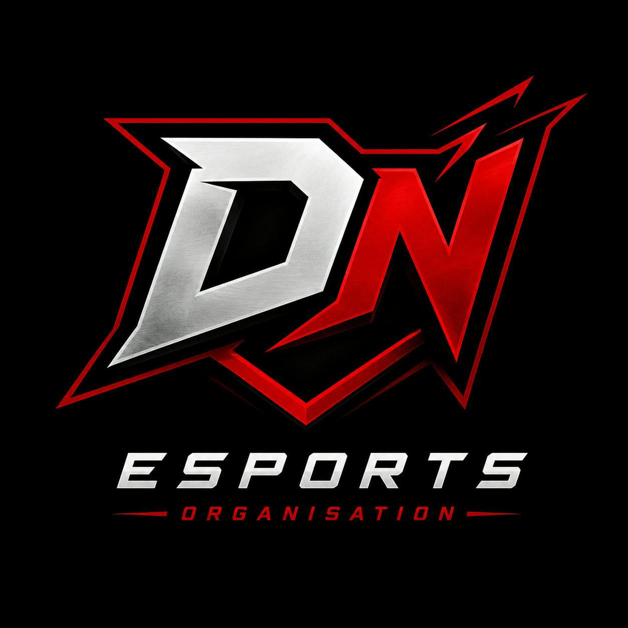 DN ESPORTS ORGANISATION