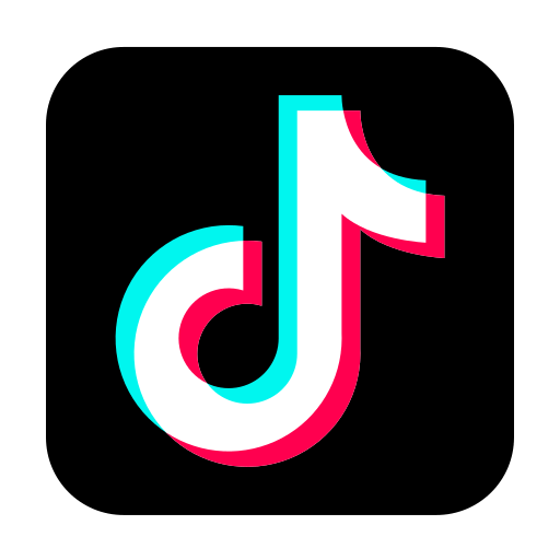 ViewTikStories