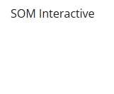 SOM Interactive