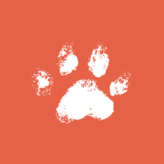 Indi Pet App