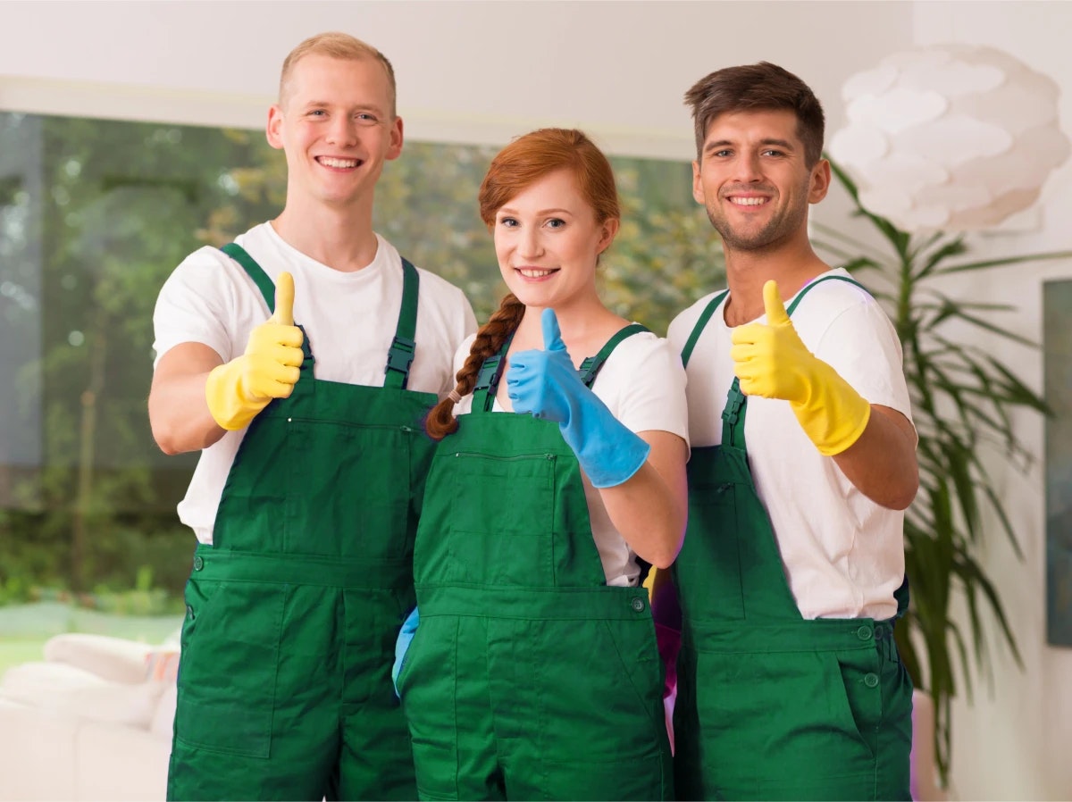 Mold Remediation Charlotte NC