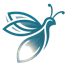 DataFirefly Server Side Tracking