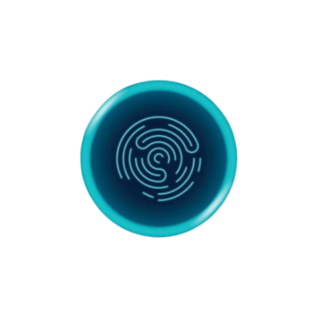 WebShield.AI