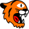 Tiger Finder AI Profile Classifier